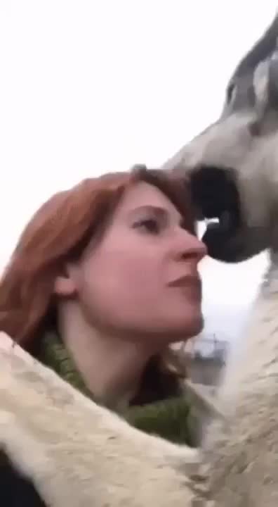 mONsTeR dOgGo riPs uGlY bITcH fAcE oFf
