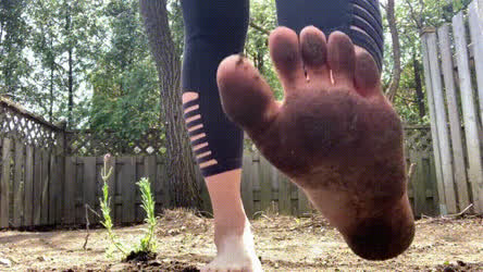 Feet Feet Fetish Foot Foot Fetish Foot Worship Leggings Messy Toes Wet Yoga Yoga