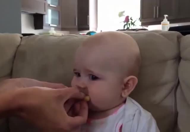 Baby Trying Lemon