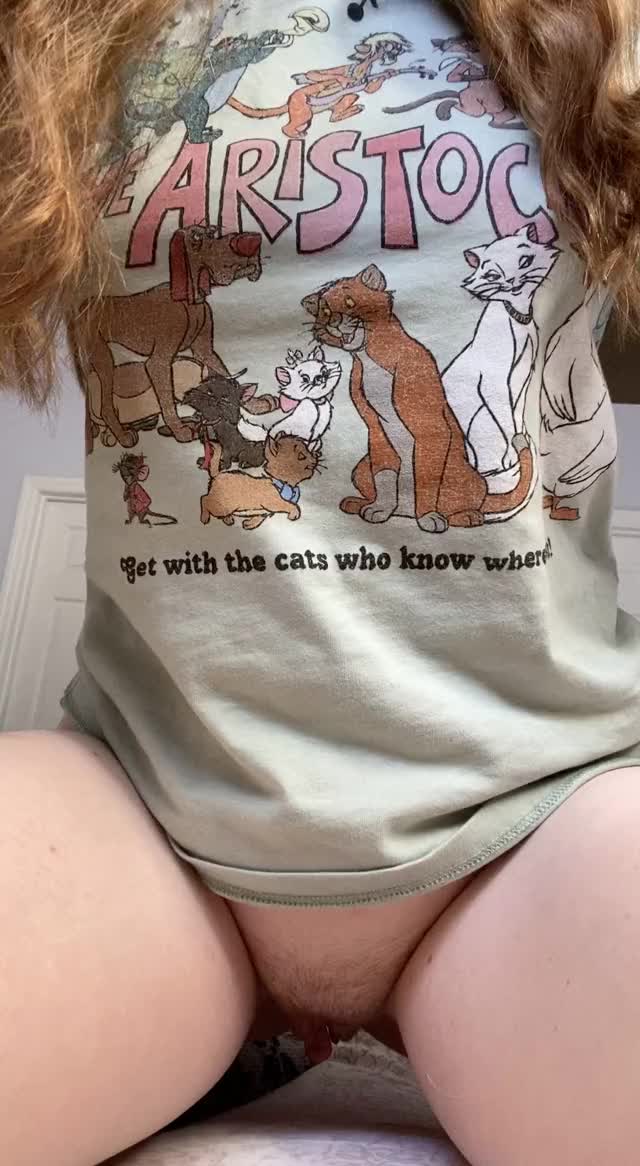 Lots of kitties and a titty drop ?