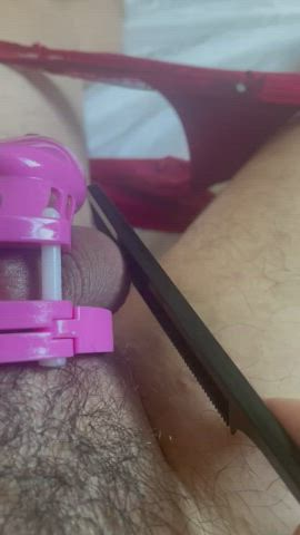 CBT Chastity Punishment clip