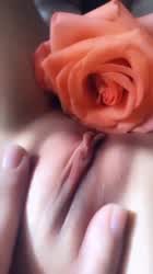 April Flowers Pussy Wet Pussy clip