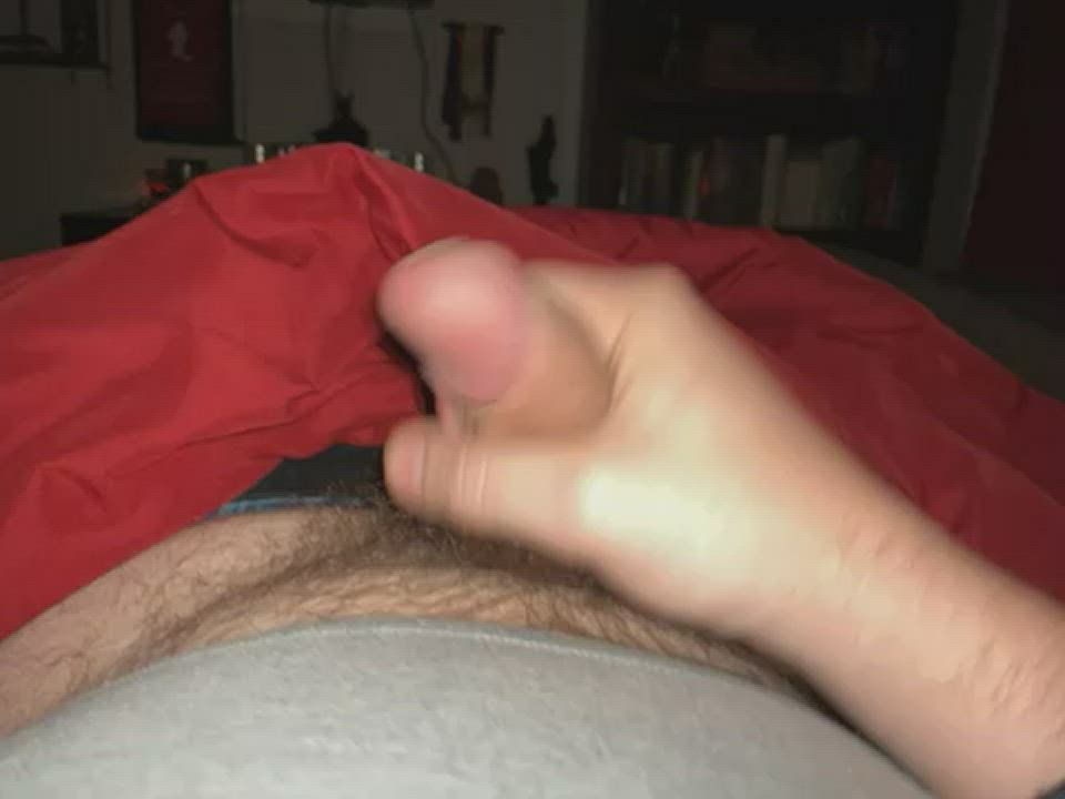 Big Dick Hairy Jerk Off clip