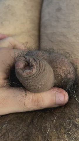Hairy daddy