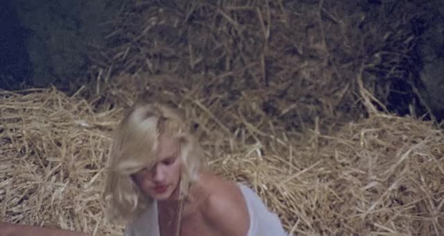 Brigitte Lahaie &amp; Pascale Vitale- Secrets of a French Maid (1980)
