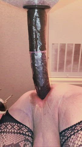 My FIRST 13inch BBC TOY in my BoiPussy!! Godddd the feeling of ever inch going in