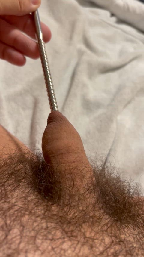 bear sounding uncut clip