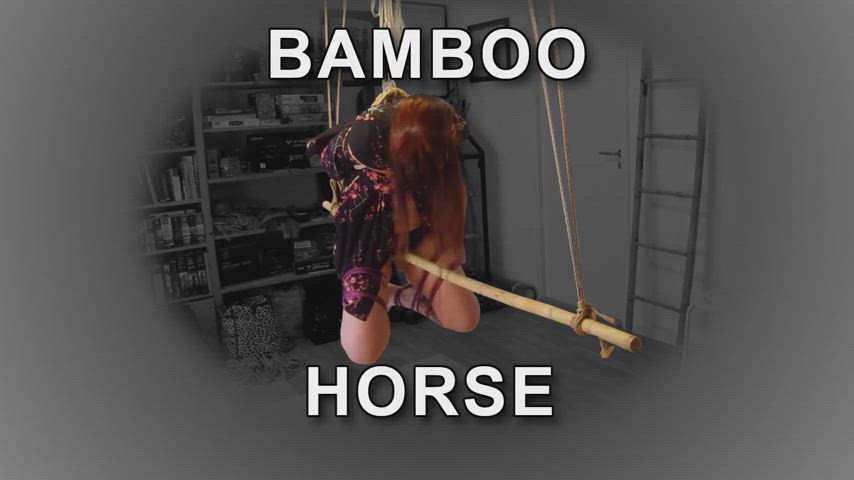 Bamboo Horse