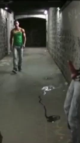Getting Caught Isn't Too Bad When You Get A Secret Underground Alleyway Blowjob Out