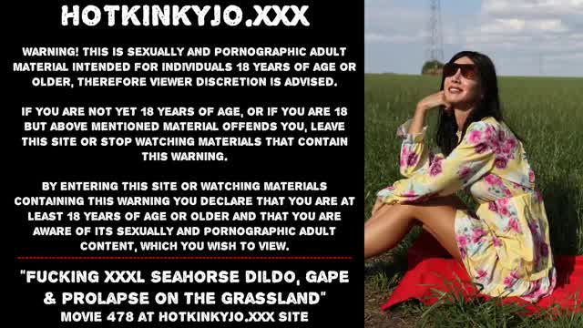 Hotkinkyjo fucking XXXL Seahorse dildo, gape & prolapse on the grassland