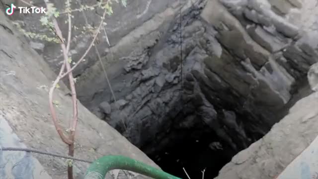 The worker saved a dog in a big well