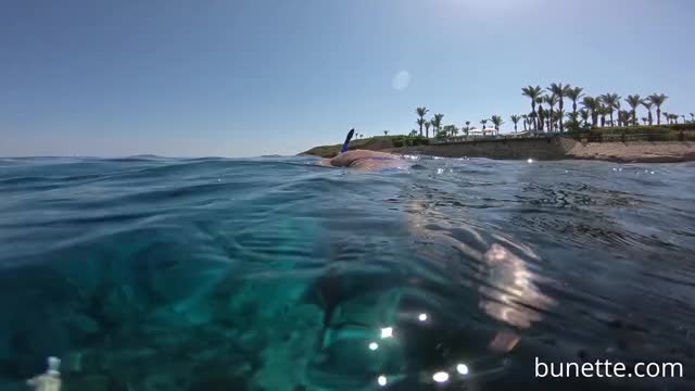 Ass In The Ocean