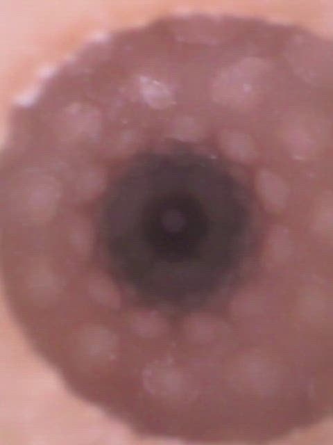 sex toy toy toys clip