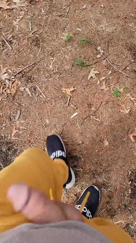 Walking in the woods with a rock-hard cock.. 🍆😈