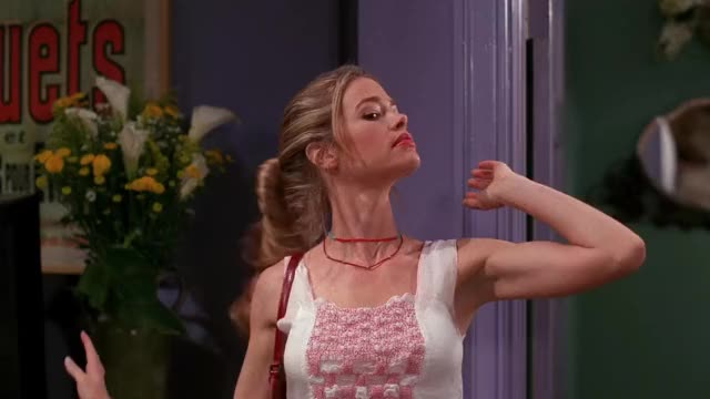 Denise Richards - Friends S07E19 The One With Ross and Monica's Cousin (1)