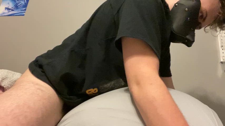 Desperate and horny puppy humps pillow till he cums