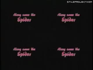 Spider Sex