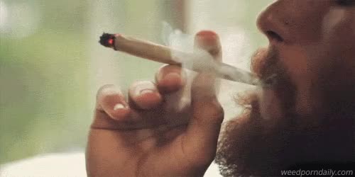 Jorge Cervantes - smoking a joint 4