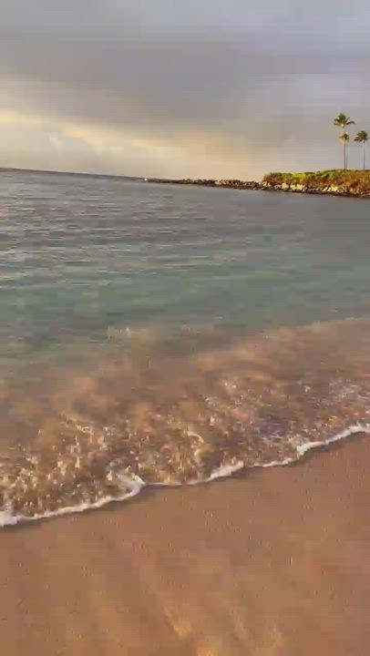 Beach Bikini Outdoor clip