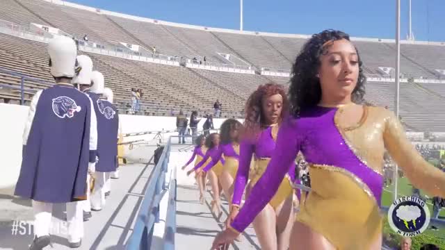 PVAMU BLACK FOXES 2