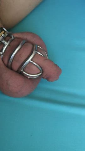 Chastity Chastity Belt Tease Virgin clip