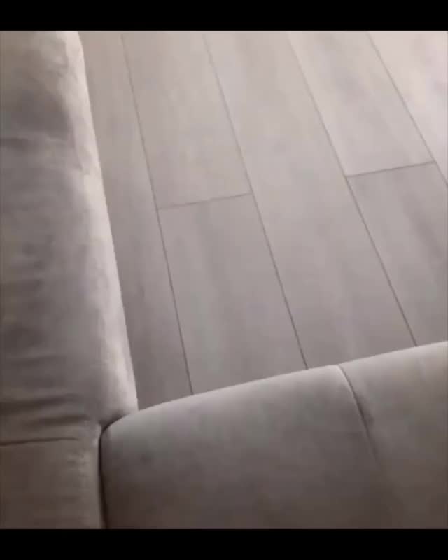 Corgi sofa jump miscalculation