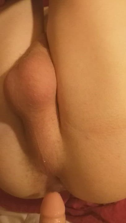 I love teasing his asshole with my silicone cock head 😊