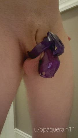 Pissing while in chastity. Hope you like!