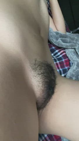 Plump and hairy