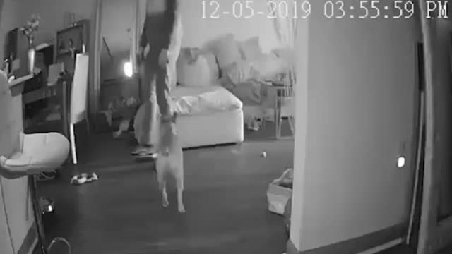 Single Model Danii Banks Confronts Armed Robber While Buck Naked