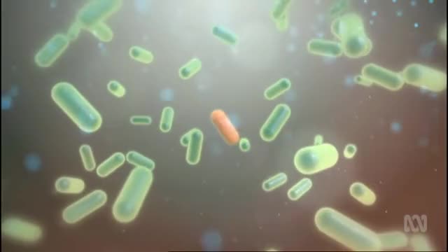 Antibiotic Resistance | Are we creating super viruses?