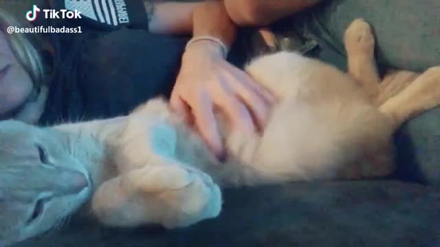 This audio worked out perfectly ? he lives tummy rubs but only on his own terms.