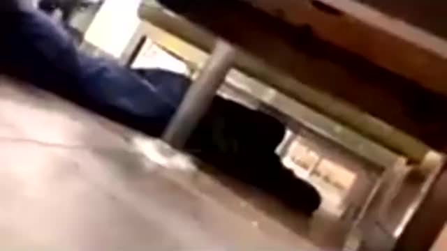 El Paso Walmart HOAX - Full Video of Cell Phone Footage and Victims in Parking Lot
