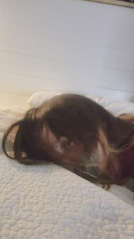 doggystyle moaning sex clip