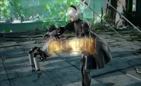 2B Asss