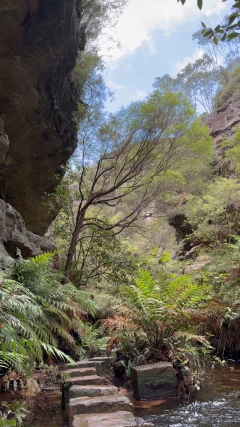 Exploring a lovely spot. 