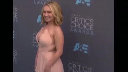 Big Tits Celebrity Hayden Panettiere Huge Tits clip