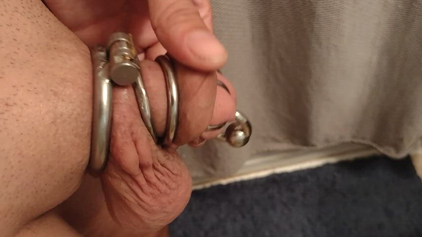 big clit caged chastity chastity belt clit clit rubbing male masturbation masturbating