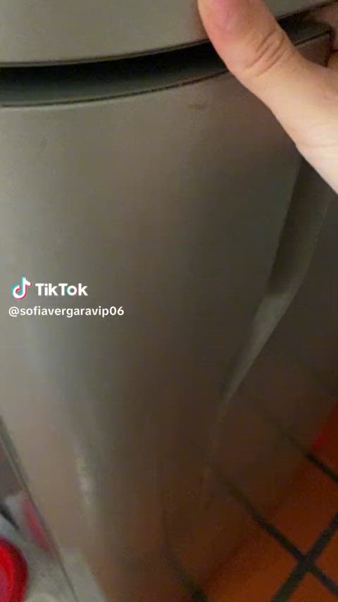 SofiaVergaraVIP - More tiktok flash vids on my TT likes (juanmomo45)