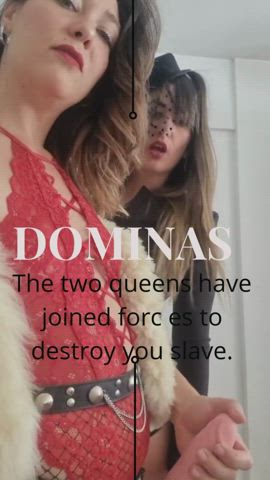 domination dominatrix femdom master/slave slave strap on clip
