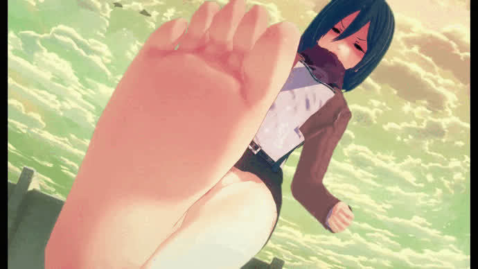 Mikasa feet