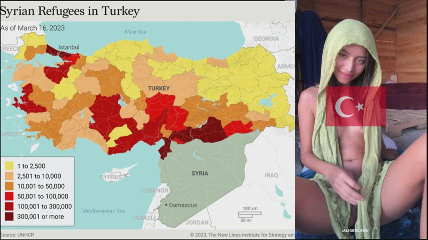 Turkey's Borders are Open for Syria to Ravage