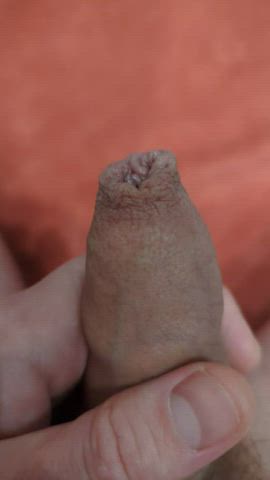 cock foreskin penis clip