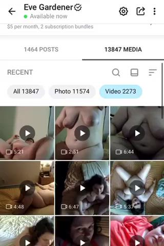 Amateur Compilation OnlyFans Porn GIF by immadawgtoo