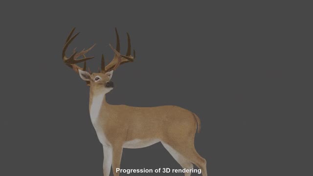 Progression of a 3D render