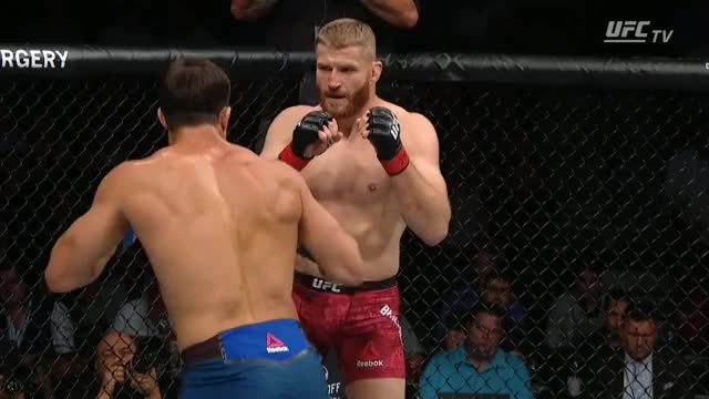 Rockhold vs. Blachowicz - UFC 239