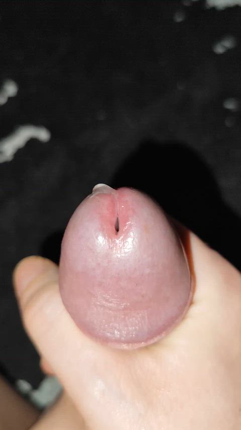 cock homemade male masturbation masturbating precum solo clip