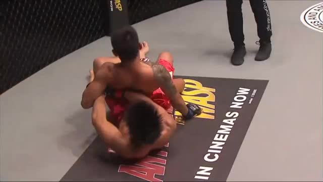 What a submissions by Joshua Pacio vs. Pongsiri Mitsatit! Wow! I don't even know