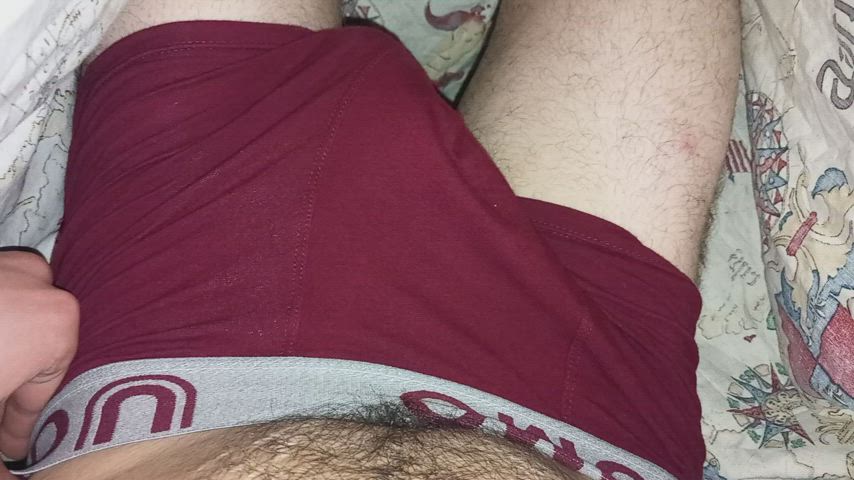 Good morning! who wants to help my morning wood?