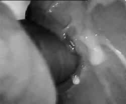 Cum Licking Cumshot Smile clip